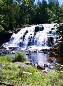 Bond Falls in Michigan's U.P.
