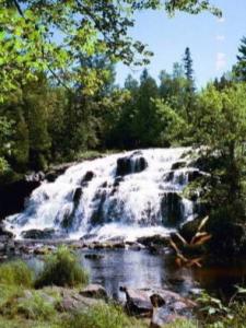Bond Falls in Michigan's U.P.