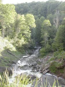 The Gorge