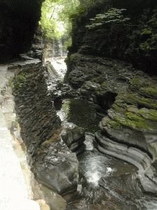 Watkins Glen