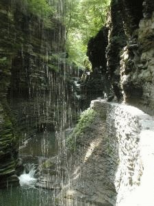 Watkins Glen