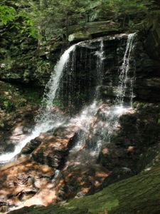 B. Reynolds Falls