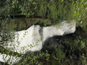 Dingmans Falls