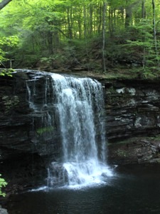 Harrison Wright Falls