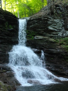 Sheldon Reynolds Falls